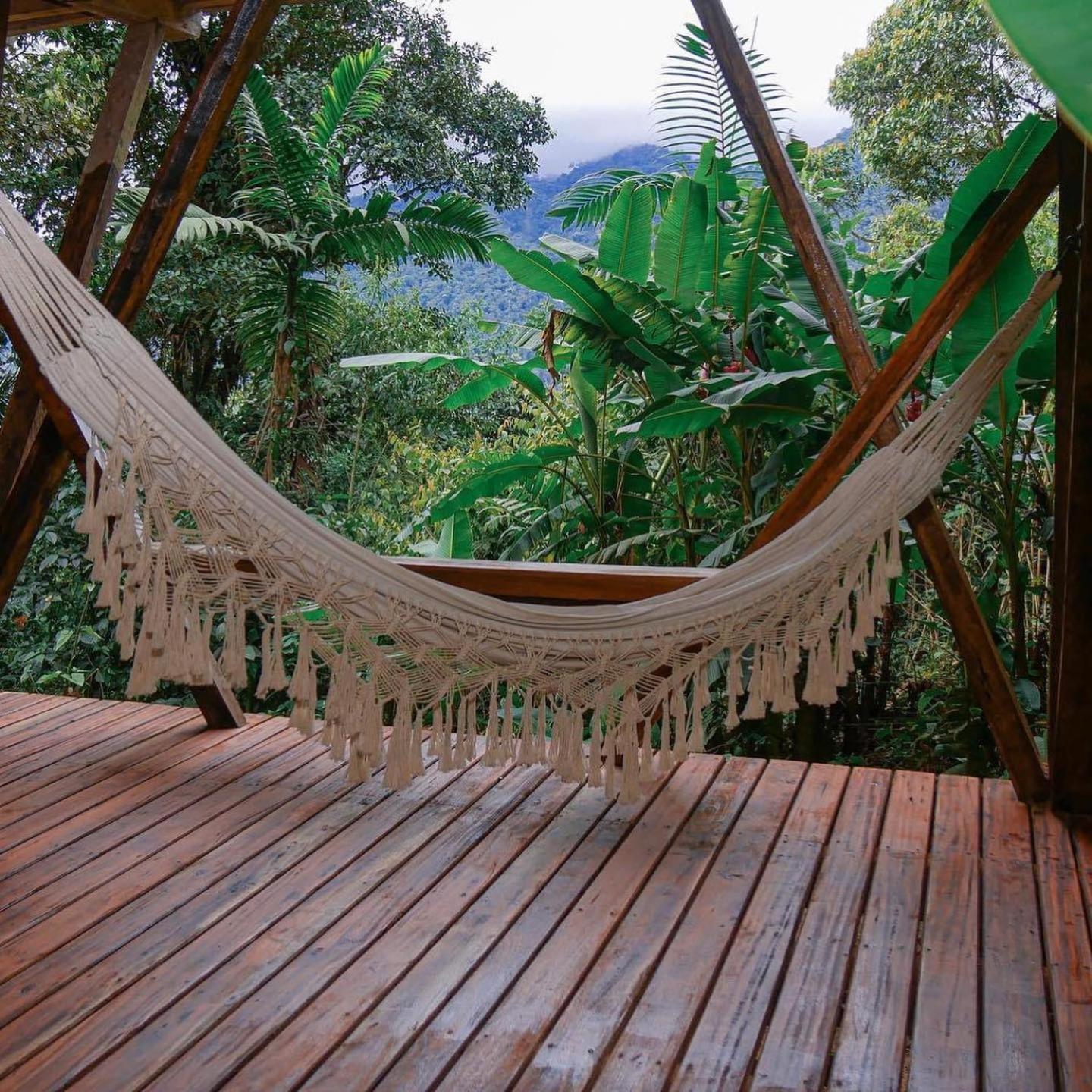 Hotel Casa De Vista Alta à Mindo Extérieur photo